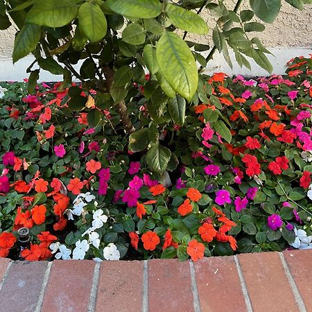 Laguna Inn And Suites San Juan Capistrano Εξωτερικό φωτογραφία
